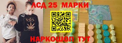 apvp Бердск