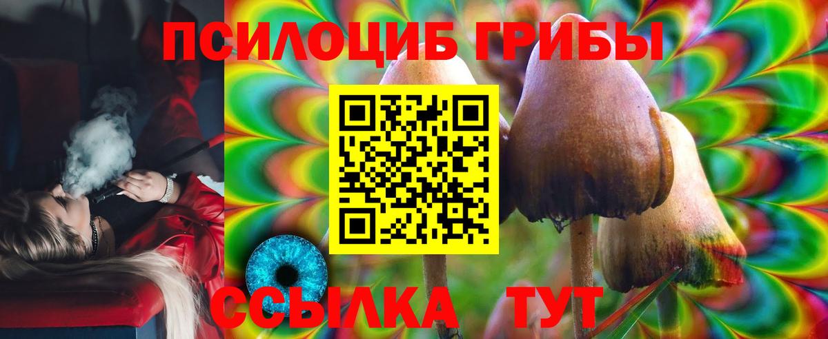 Галлюциногенные грибы GOLDEN TEACHER Тимашёвск