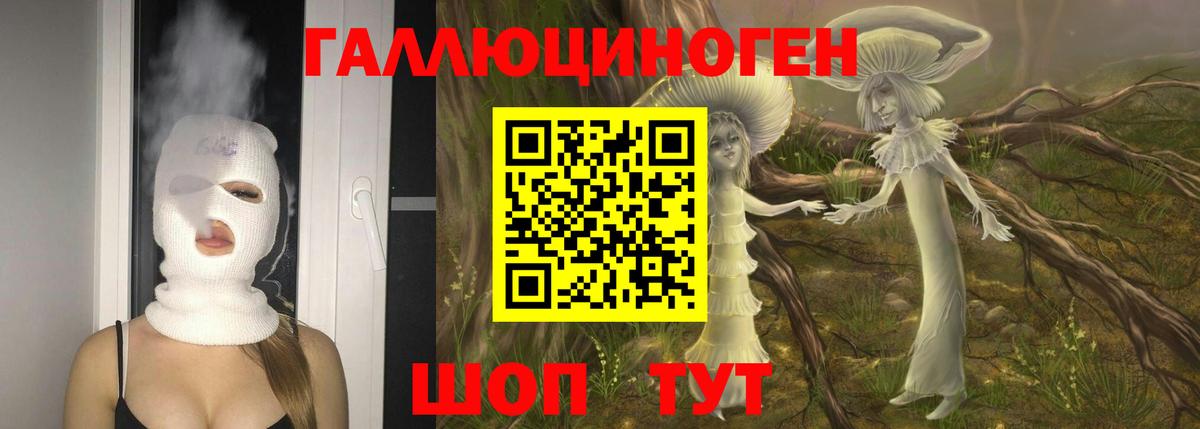 наркотики  Вход с VPN  Тимашёвск  Псилоцибиновые грибы Psilocybine cubensis 